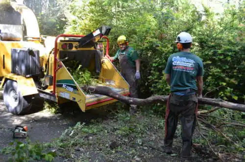 tree services Glen St. Mary